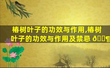 椿树叶子的功效与作用,椿树叶子的功效与作用及禁忌 🐶